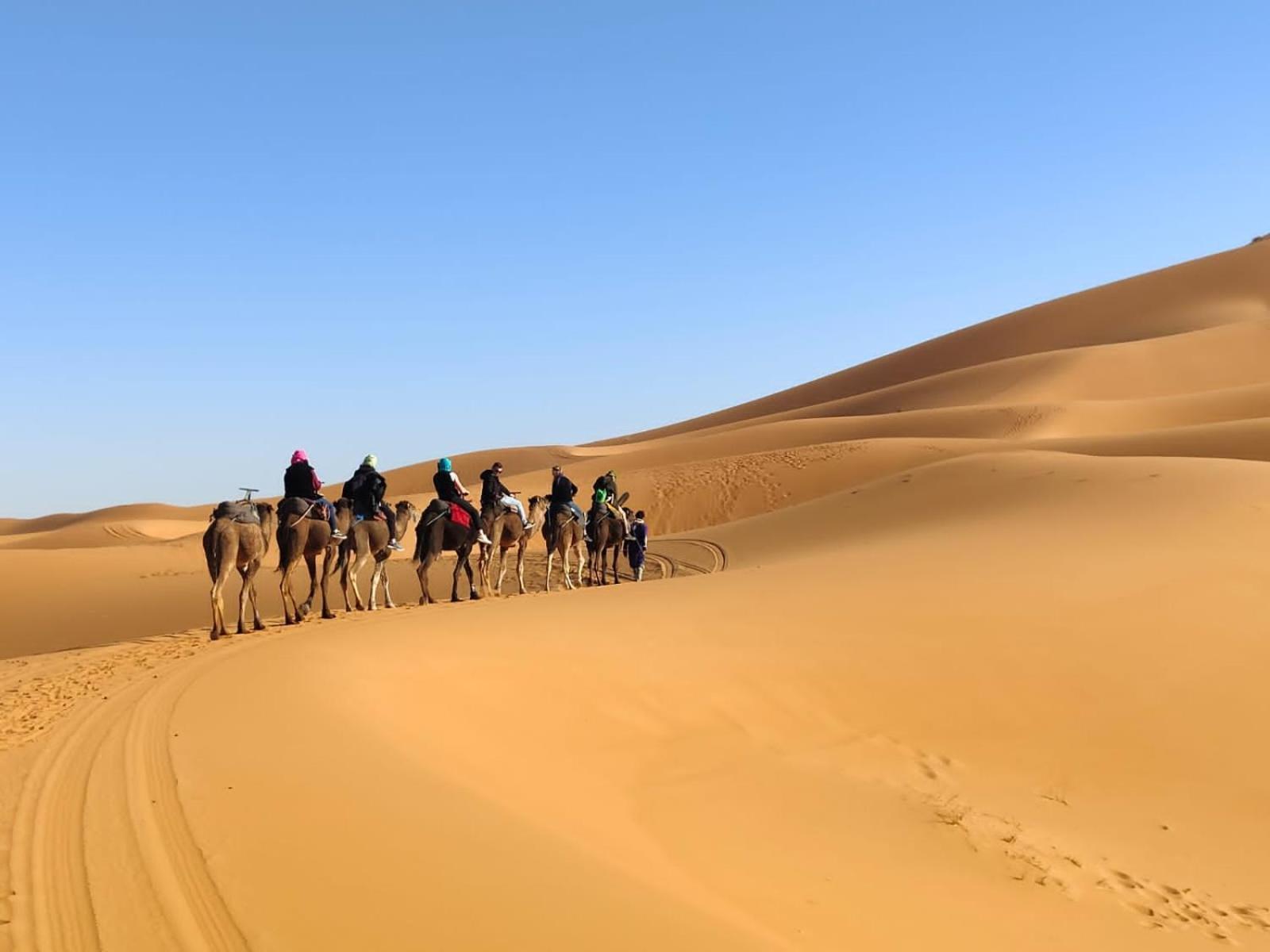 Готель Erg Chebbi Starlight Camp Мерзуга Екстер'єр фото